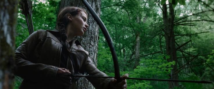 Katniss Wald